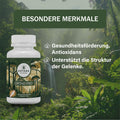ORTHO PRO Gelenknährstoff-Komplex - 90 Kapseln mit Glucosamin Sulfat 750mg, Chondroitin Sulfat 600mg & MSM 900mg - Made in Germany