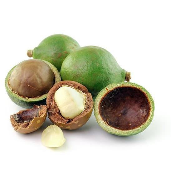 Tamanu olie 30ml - Økologisk